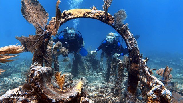 Top Dive Sites in Key Largo