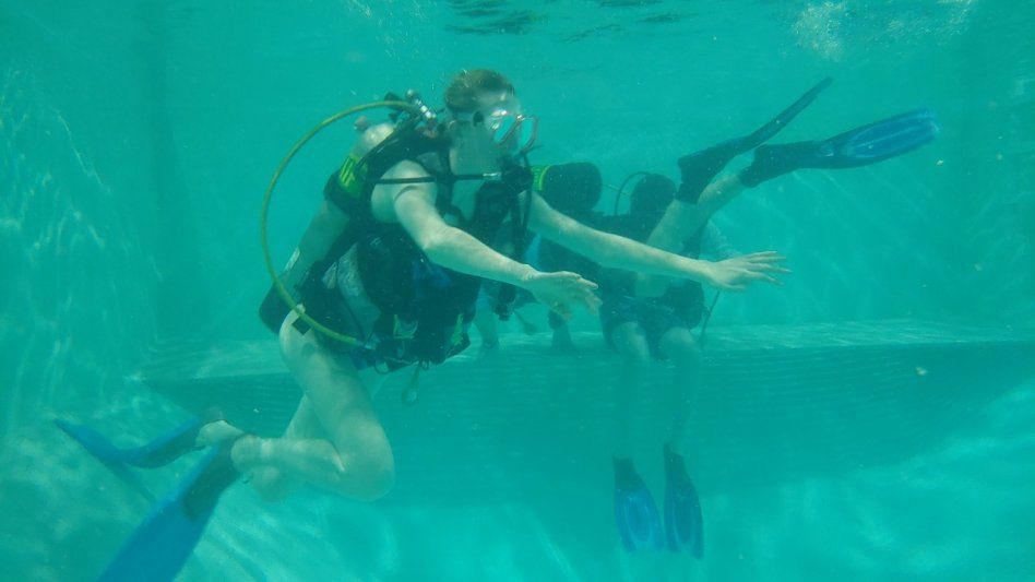 Top Dive Sites for Scuba Diving in Key Largo (Reefs & Wrecks)